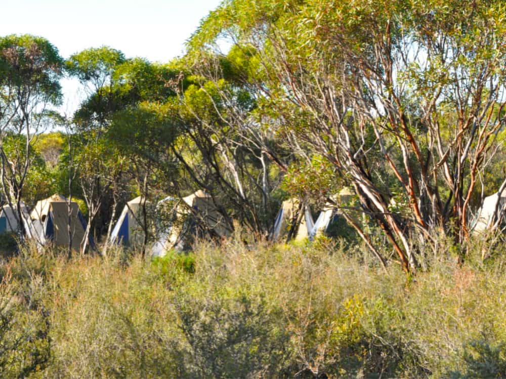 Nowanup Noongar Boodjar Limited logo